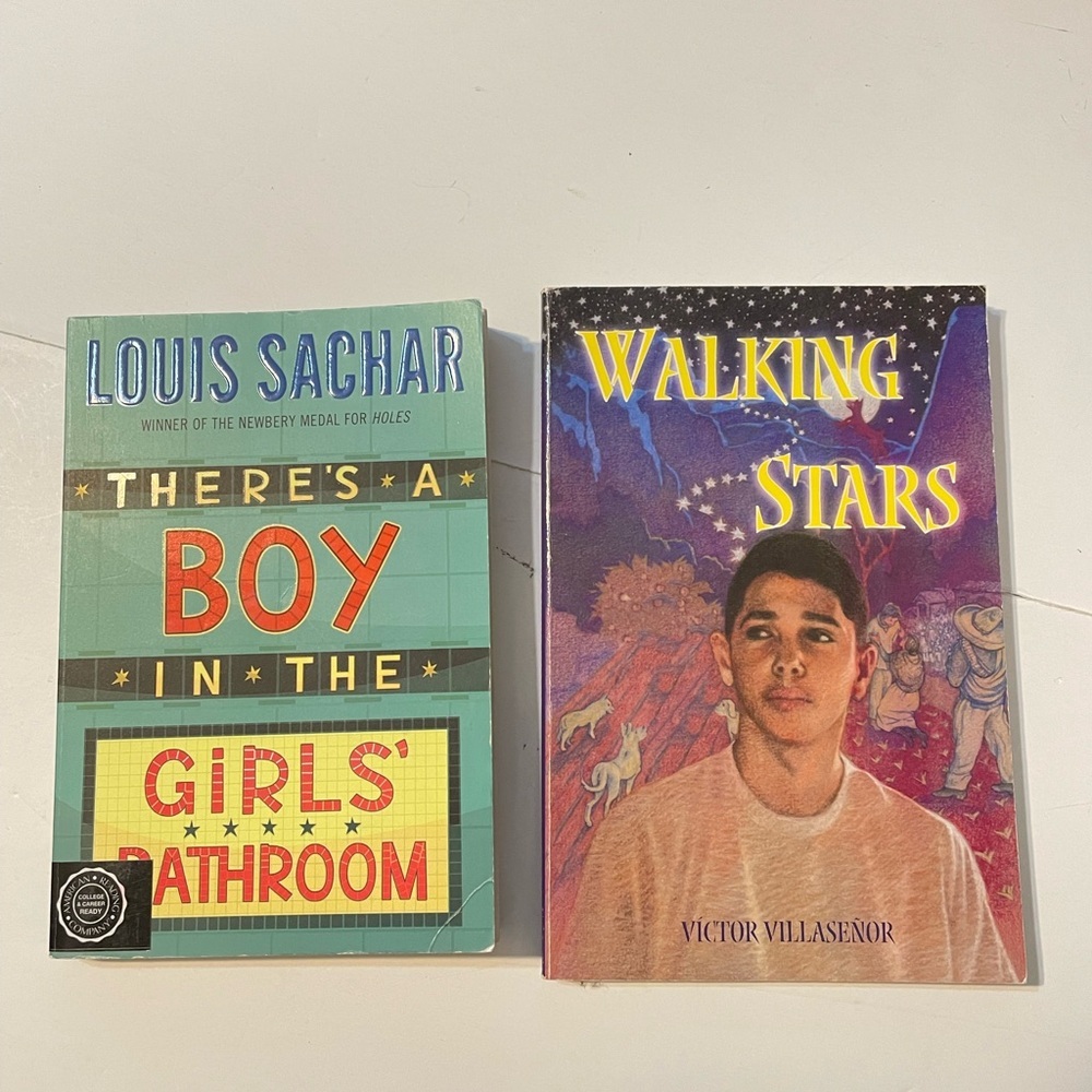 Lot of 2 Children’s Books, There's a Boy in the Girl's Bathroom- Walking Stars